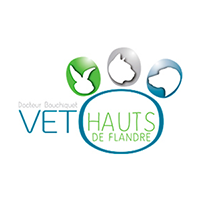 Vet Hauts de Flandres - Clinique vétérinaire à Dunkerque – Chien, chat, lapin et NAC