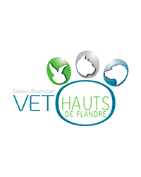 Vet Hauts de Flandres - Clinique vétérinaire à Dunkerque – Chien, chat, lapin et NAC